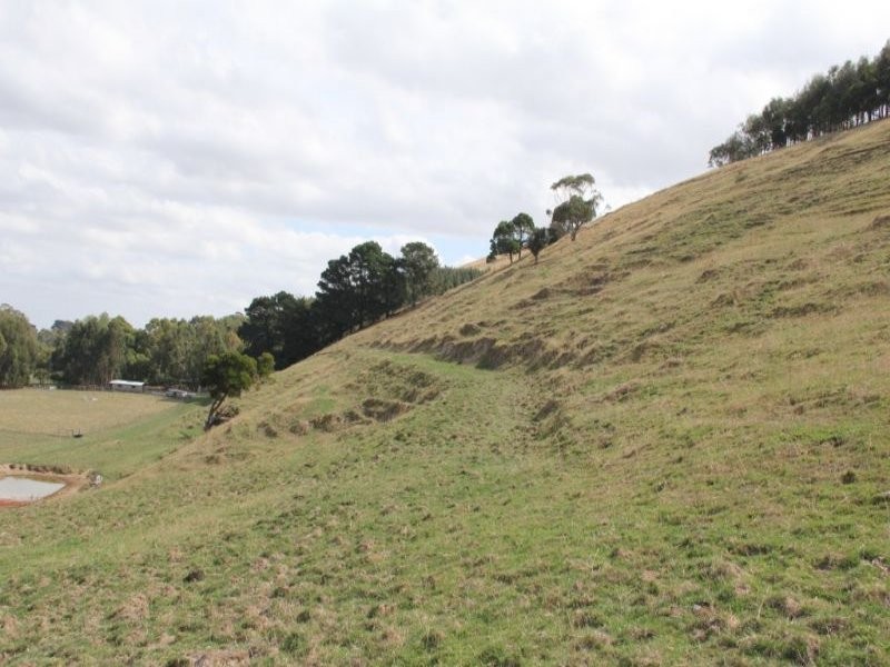 66 Goads Road, Dumbalk VIC 3956