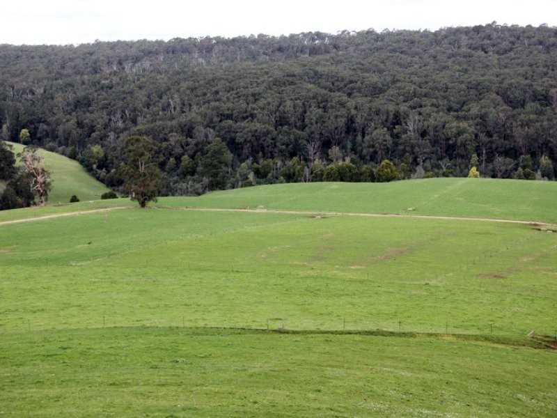 80 Pitt, Hallston VIC 3953