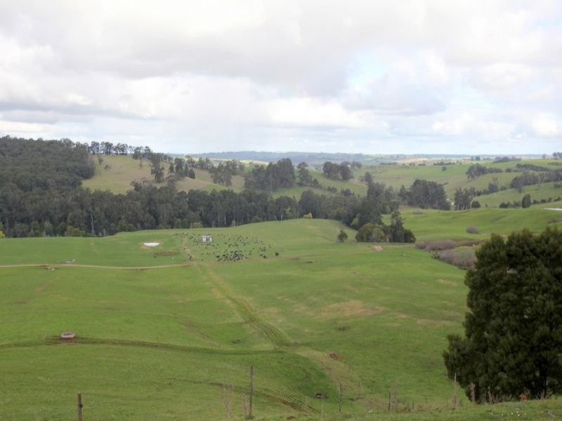 80 Pitt, Hallston VIC 3953