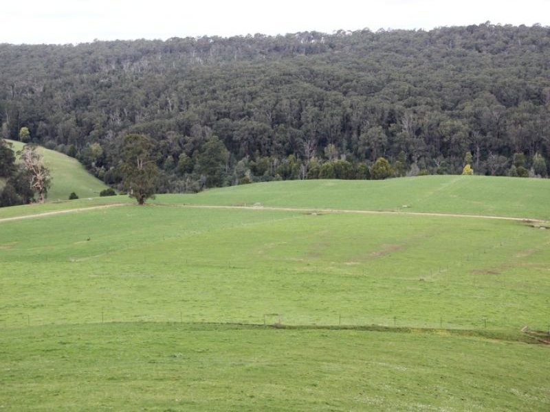 80 Pitt, Hallston VIC 3953