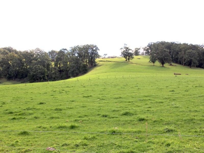 80 Pitt, Hallston VIC 3953