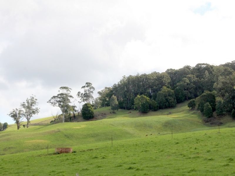 80 Pitt, Hallston VIC 3953