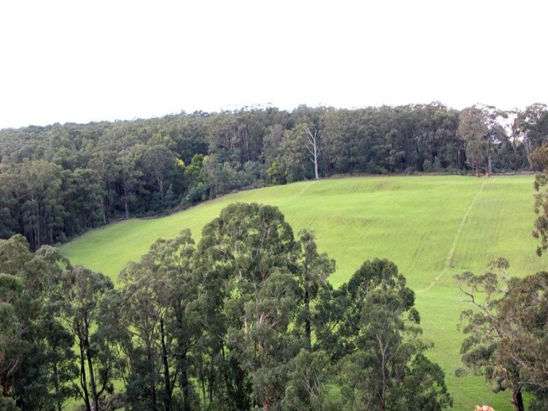 80 Pitt, Hallston VIC 3953