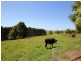 95 One Chain Road, Arawata VIC 3951