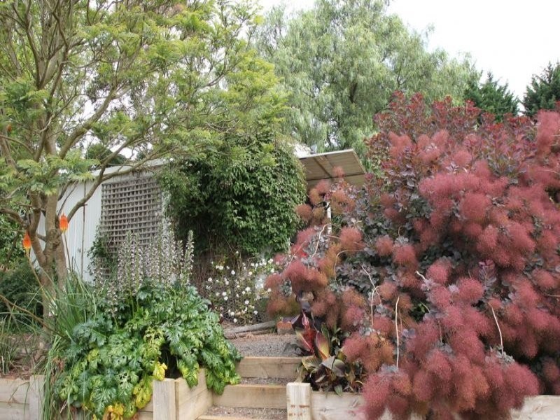 705 Canavans Road, Leongatha North VIC 3953