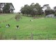 36 Bourke Street, Korumburra VIC 3950