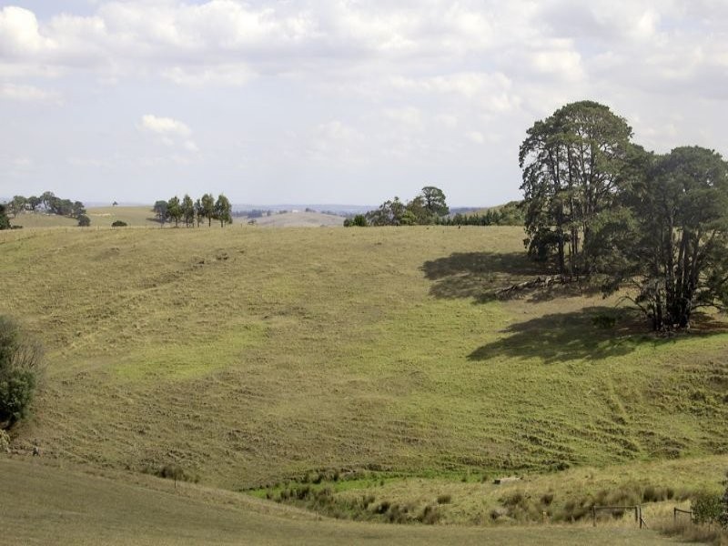 995 Canavans Road, Mount Eccles VIC 3953