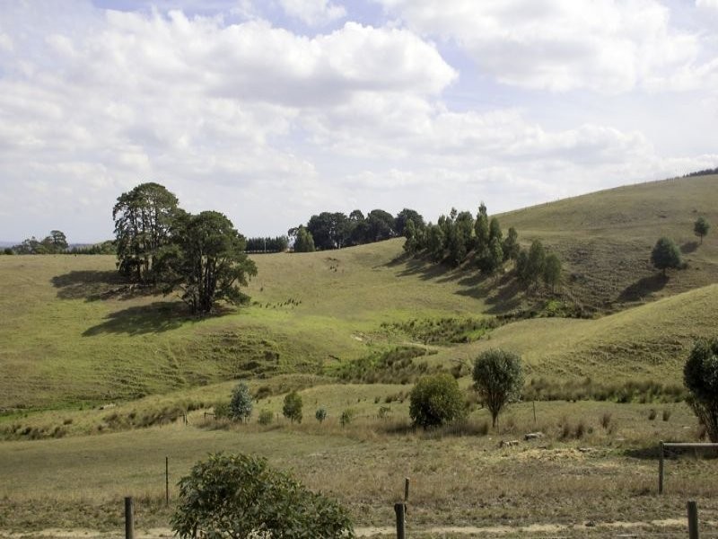 995 Canavans Road, Mount Eccles VIC 3953