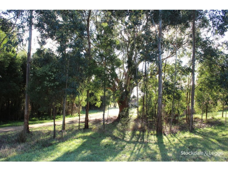 66 Chamberlain Drive, Leongatha VIC 3953