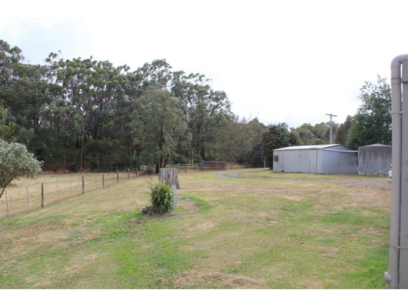 Buffalo VIC 3958