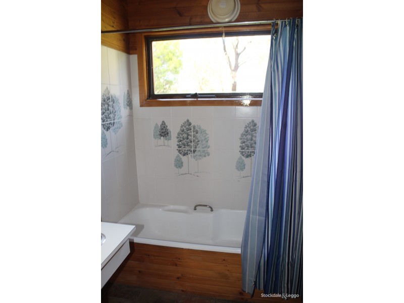Buffalo VIC 3958
