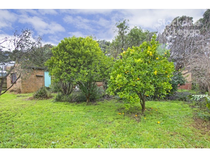 10 Holt Street, Leongatha VIC 3953