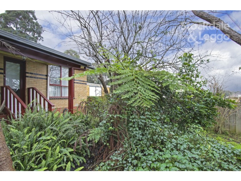 10 Holt Street, Leongatha VIC 3953