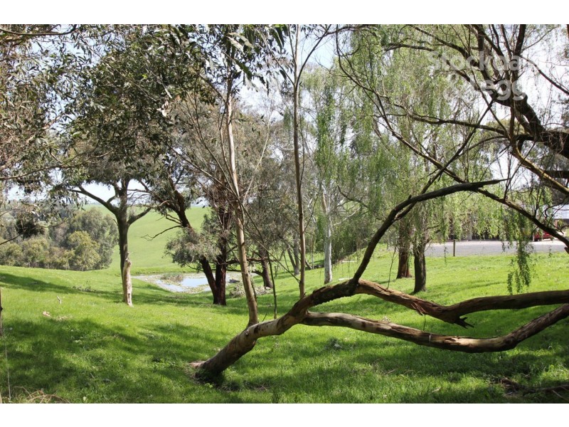 175 Garvies Road, Nerrena VIC 3953