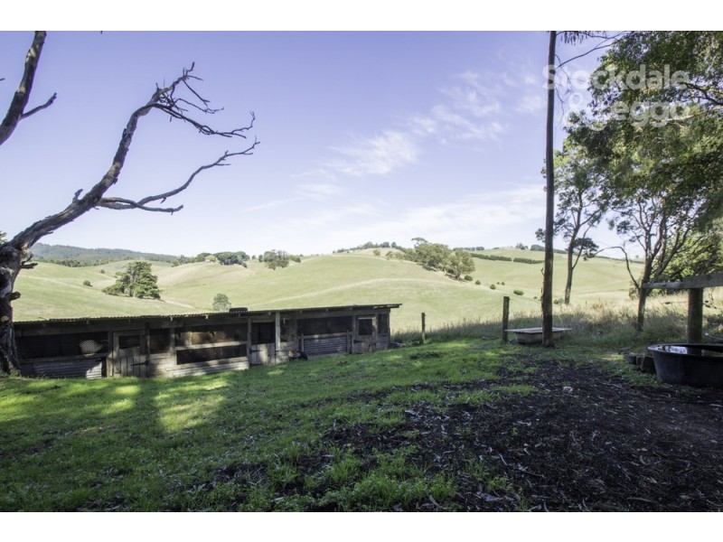 1405 Foster-Mirboo Road, Dollar VIC 3871