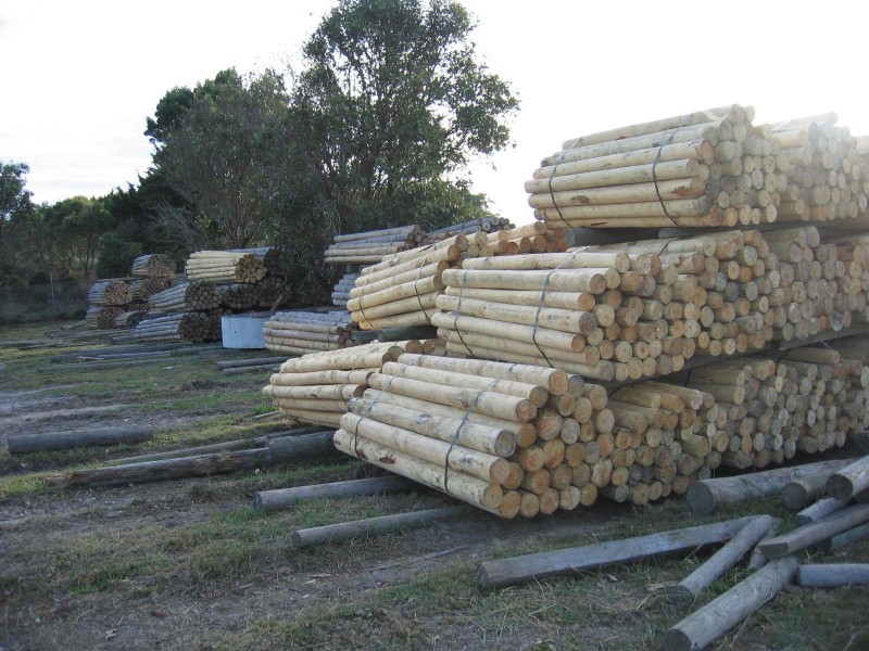 1890 Promontory Road, Fish Creek VIC 3959