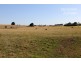 336 Whitelaws Track, Koonwarra VIC 3954