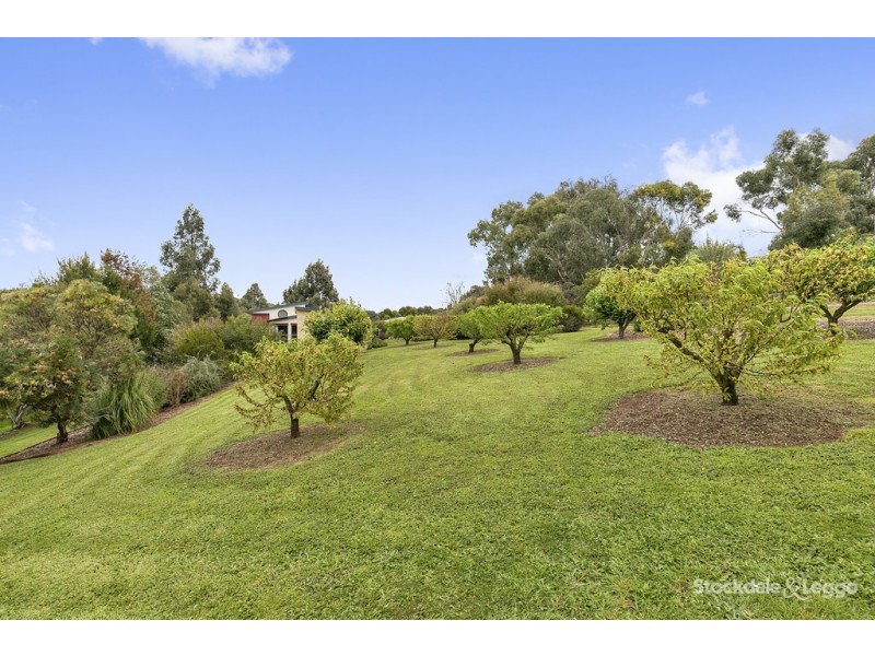 5A Louise Simon Court, Leongatha VIC 3953