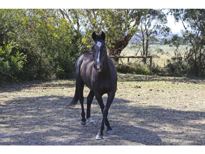 65 Timmins Estate Road, Leongatha VIC 3953