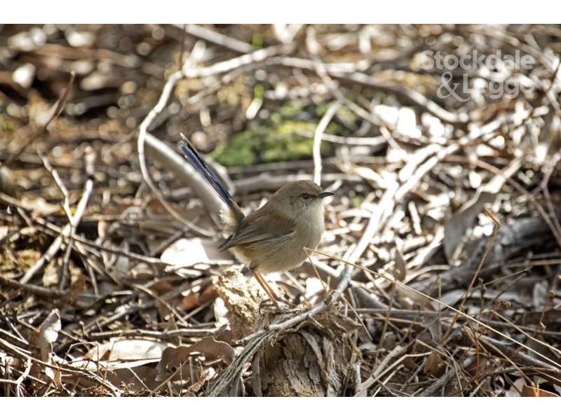 318 Sewells Road, Koonwarra VIC 3954