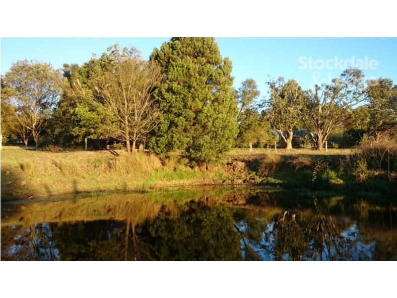 50 Kelly and Mosses Road, Korumburra VIC 3950