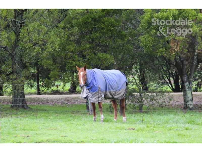 50 Kelly and Mosses Road, Korumburra VIC 3950