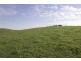 136 Sweeneys Lane, Dumbalk VIC 3956