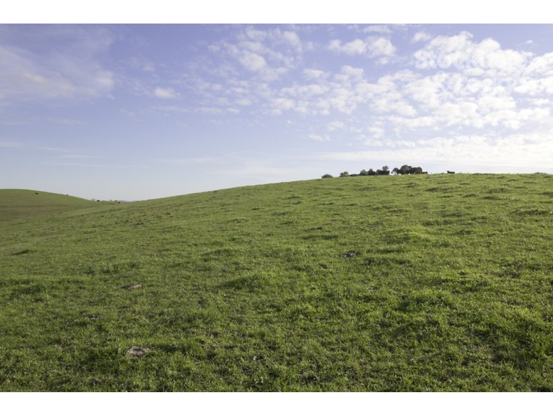 136 Sweeneys Lane, Dumbalk VIC 3956