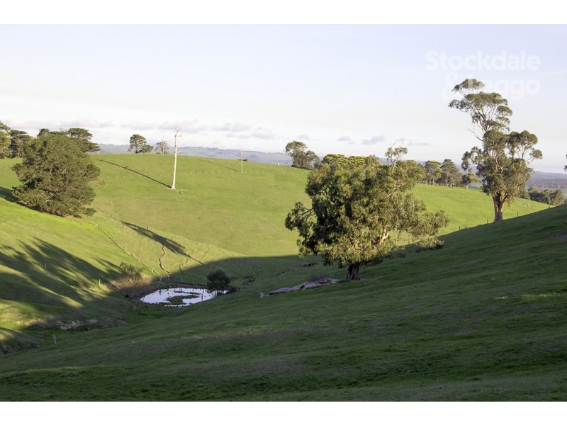 205 Mardan-Dumbalk Road, Dumbalk VIC 3956
