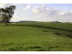 205 Mardan-Dumbalk Road, Dumbalk VIC 3956