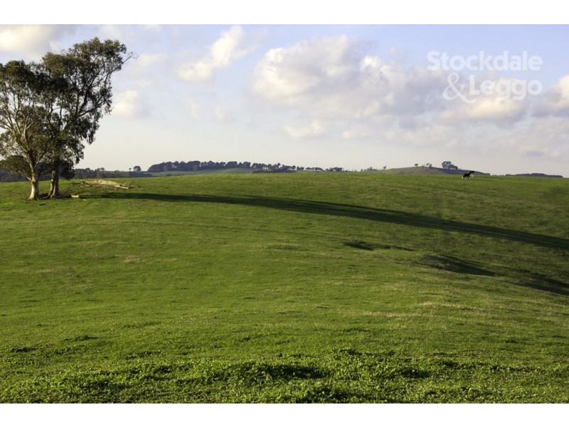 205 Mardan-Dumbalk Road, Dumbalk VIC 3956