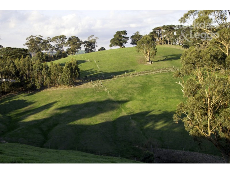 205 Mardan-Dumbalk Road, Dumbalk VIC 3956
