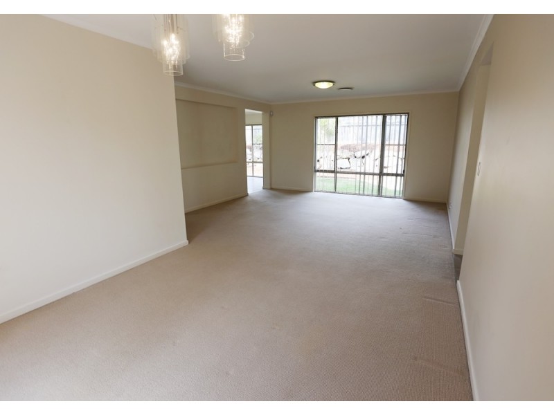175 Alawoona Street, Redbank Plains QLD 4301