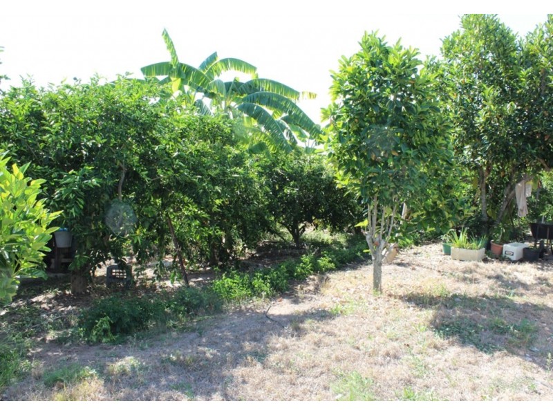 122 Johnston Street, Bellbird Park QLD 4300