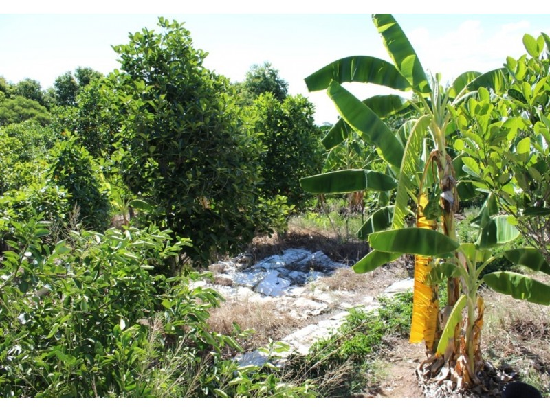 122 Johnston Street, Bellbird Park QLD 4300