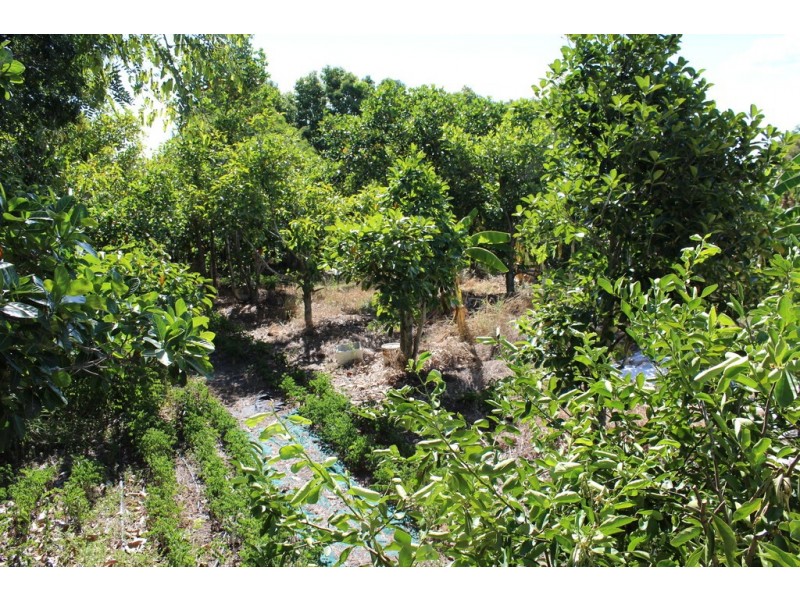 122 Johnston Street, Bellbird Park QLD 4300