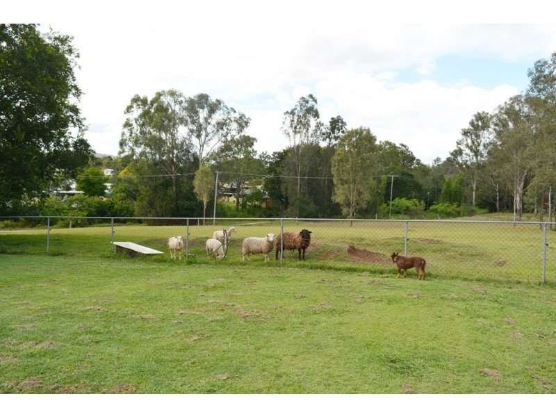 37 Storey Street, Redbank Plains QLD 4301