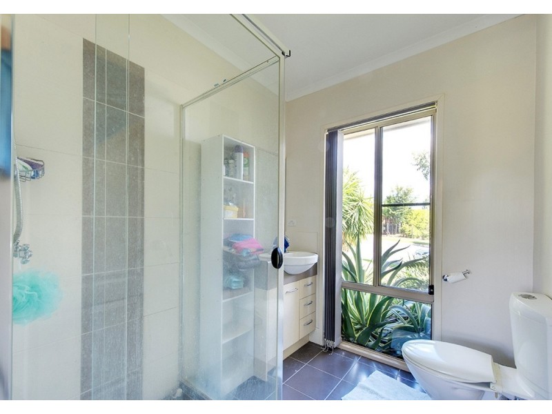 175 Alawoona Street, Redbank Plains QLD 4301