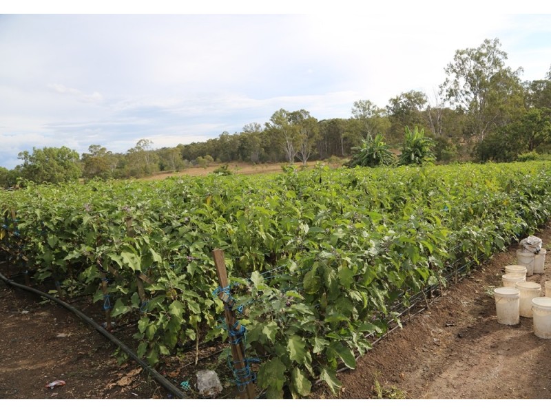 82 Halletts Road, Redbank Plains QLD 4301