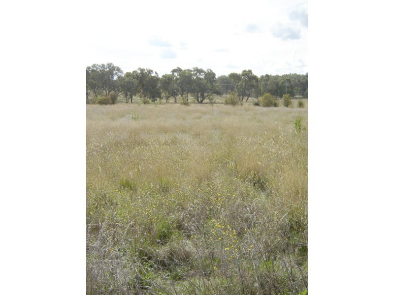 100/100 Hill Street, Molong NSW 2866