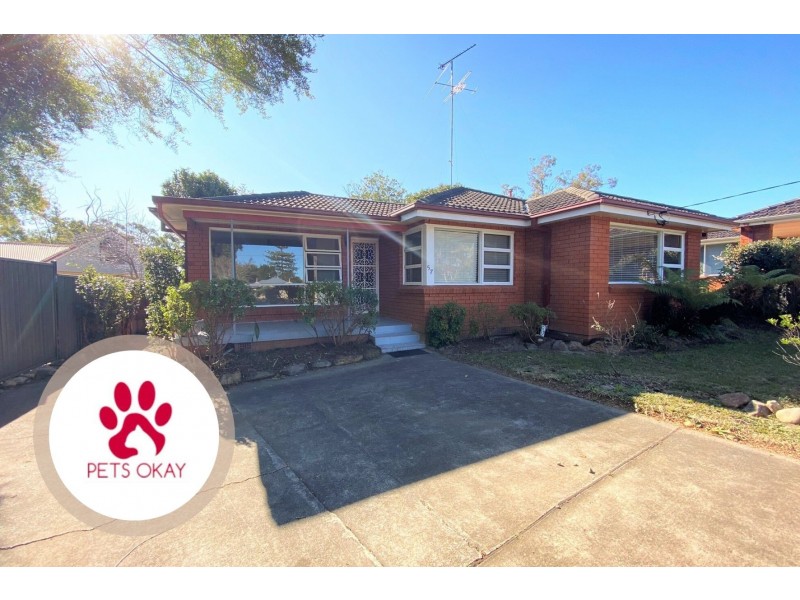 57 Bridge Road, Blaxland NSW 2774