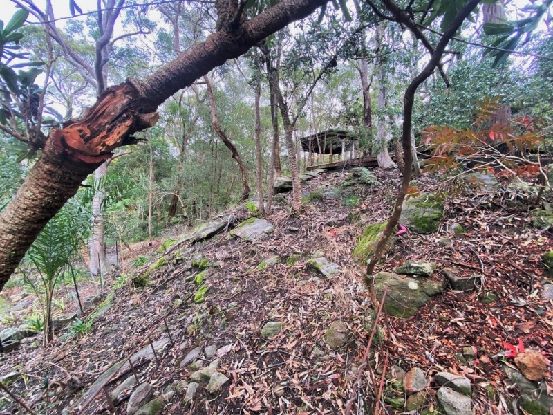 51 Douglas Street, Springwood NSW 2777