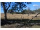2592 Gin Gin Mt Perry rd, New Moonta QLD 4671