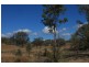 2592 Gin Gin Mt Perry rd, New Moonta QLD 4671