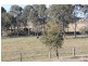 156 North Bucca rd, Bucca QLD 4670