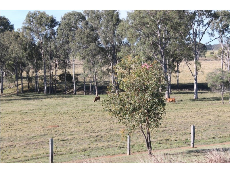 156 North Bucca rd, Bucca QLD 4670