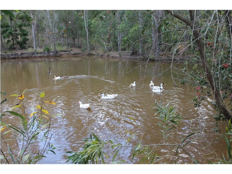 173 Hodges Rd, Cordalba QLD 4660