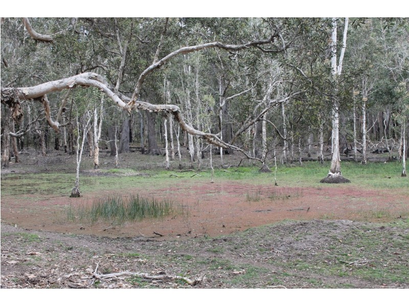 0 Korenan rd, Colosseum QLD 4677