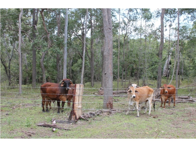 0 Korenan rd, Colosseum QLD 4677