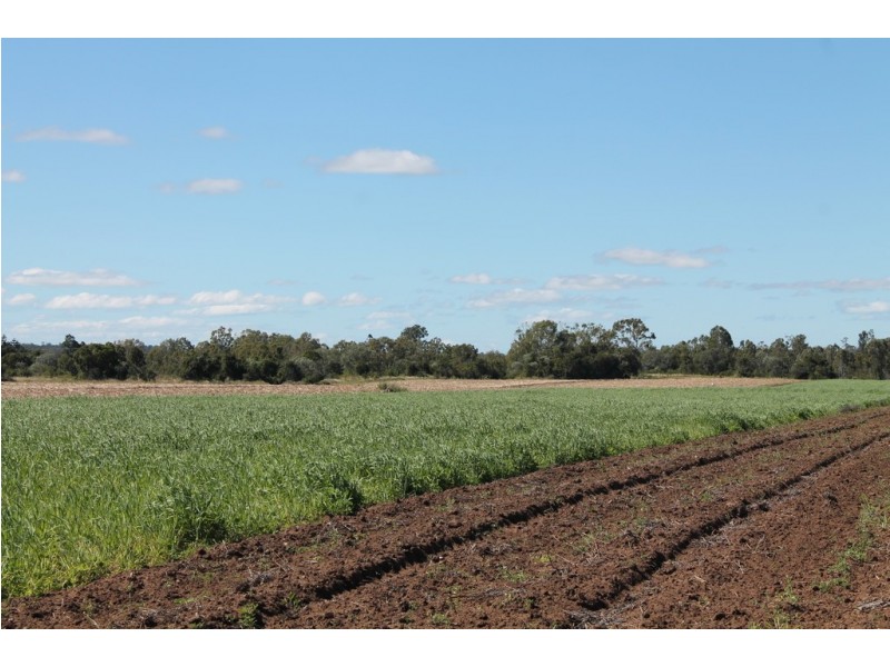 95 Twyford Rd, Electra QLD 4670